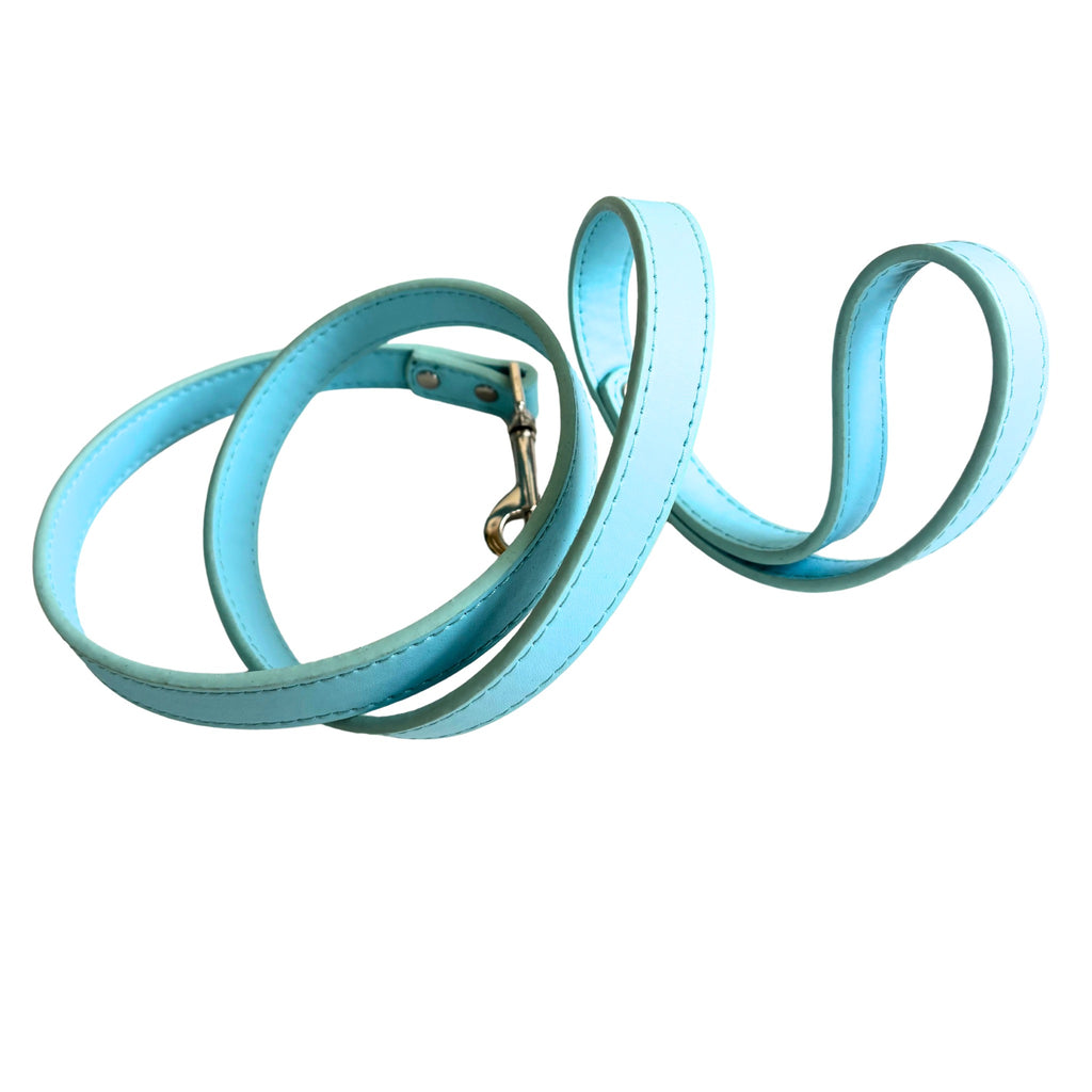 Correa BB Basic azul